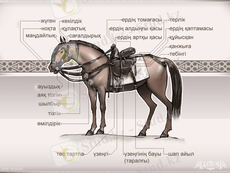 скачанные файлы.jpg