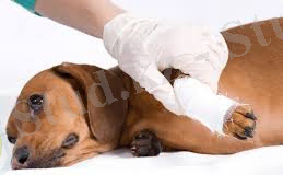 C:\Users\Назерке\Desktop\images (4).jpg