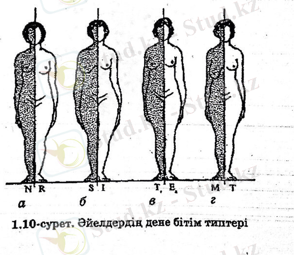 C:\Users\User\Desktop\Новая папка (3)\IMG-20150202-WA0003.jpg