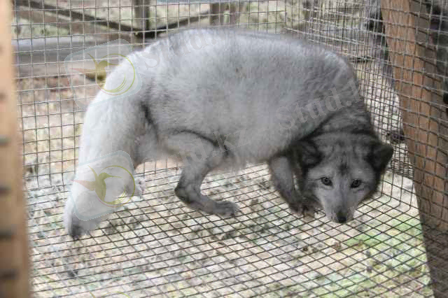 C:\Documents and Settings\Admin\Мои документы\Загрузки\1310_1423639450.jpg