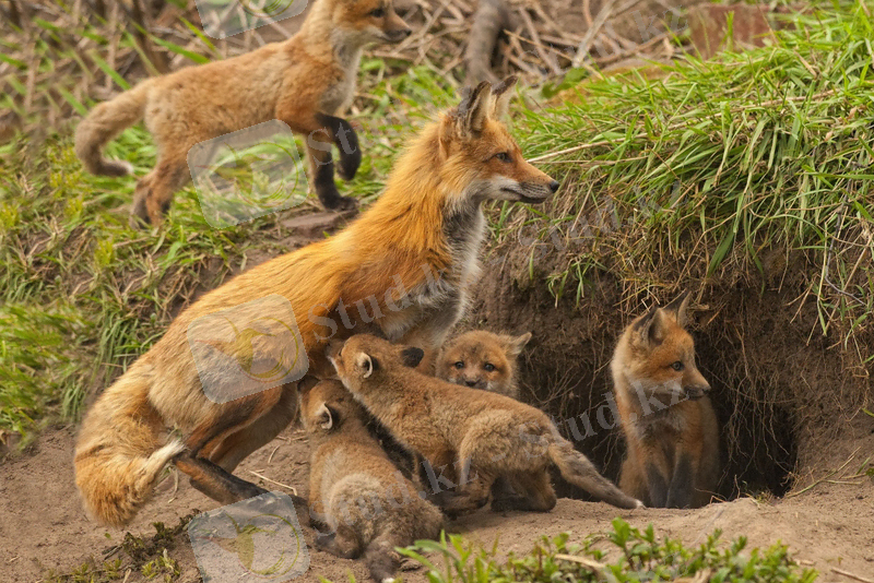 C:\Documents and Settings\Admin\Мои документы\Загрузки\wpid-dd4c5343f6e473ca43cec4f62260c42b.jpg