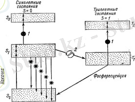 C:\Documents and Settings\Admin\Рабочий стол\очет шыгару\2-300x229.jpg