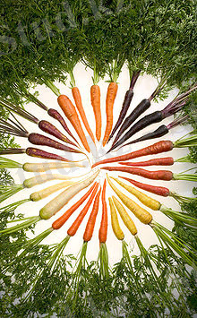 Carrots of many colors.jpg