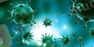 скачанные файлы.jpg