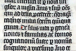 http://library.kiwix.org/wikipedia_kk_all/I/Calligraphy.malmesbury.bible.arp.jpg