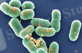 C:\Users\PC\Desktop\скачанные файлы (7).jpg