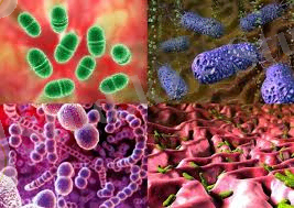 C:\Users\PC\Desktop\скачанные файлы (8).jpg