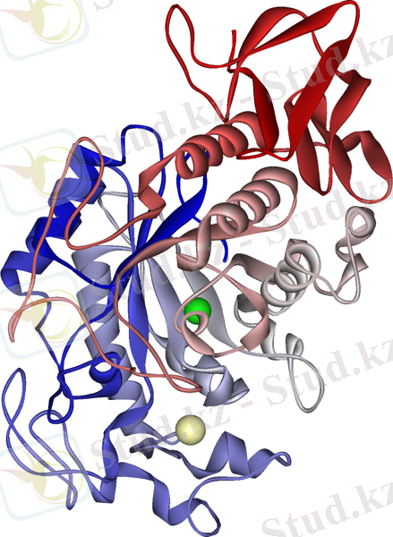 C:\Users\Пользователь\Desktop\Salivary_alpha-amylase_1SMD.png