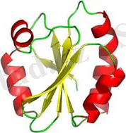 C:\Users\Пользователь\Desktop\i (1).jpg