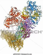 C:\Users\Пользователь\Desktop\i (2).jpg