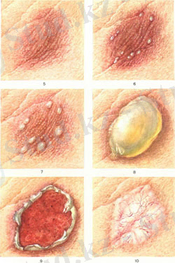 C:\Users\Public\Pictures\Sample Pictures\20.jpg