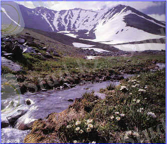 C:\Users\Gulnaz\Desktop\аксу жабагылы корыгы.jpg