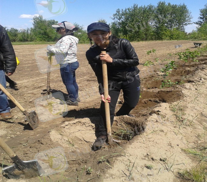 E:\Раб.стол 2\МАКОСЯЯ\Фото гр\20140605_112236.jpg