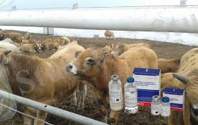 C:\Users\Admin-2\Desktop\images (14).jpg