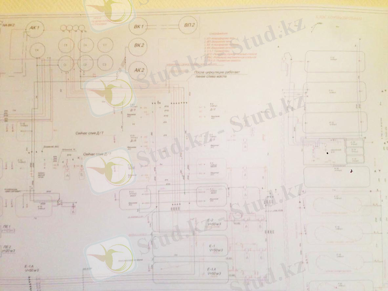 C:\Users\Нургуль\Desktop\image (1).jpg