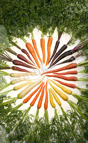 https://upload.wikimedia.org/wikipedia/commons/thumb/3/32/Carrots_of_many_colors.jpg/300px-Carrots_of_many_colors.jpg