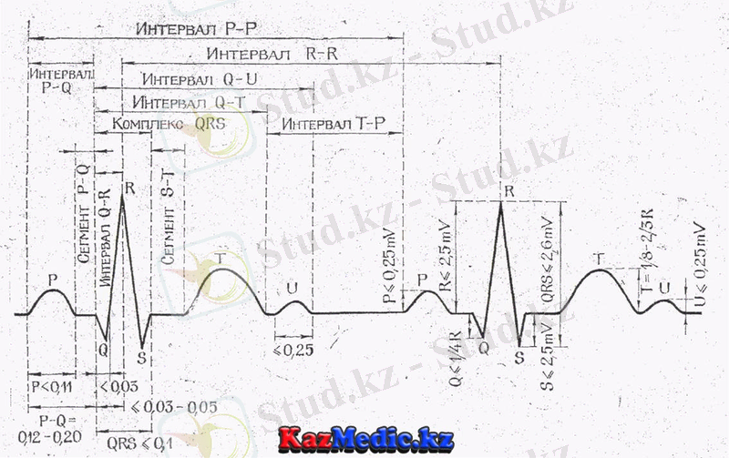 қалпыты ЭКГ