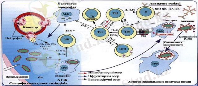 C:\Users\Core i3\Desktop\image054.jpg