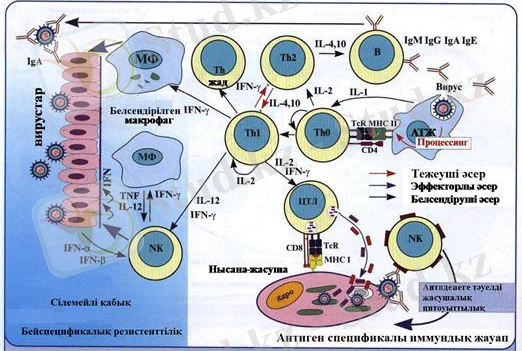 C:\Users\Core i3\Desktop\image056.jpg