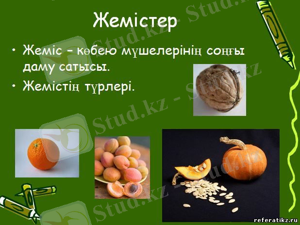 http://referatikz.ru/skrinshot/biologia3/zhemister_turaly.jpg