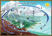 https://upload.wikimedia.org/wikipedia/commons/thumb/3/36/Watercycleguess.jpg/200px-Watercycleguess.jpg
