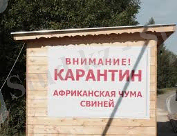 C:\Users\Дильнара\Downloads\images (4).jpg