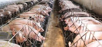 C:\Users\Дильнара\Downloads\images (2).jpg