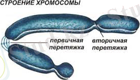 D:\USER\Desktop\картинки\images (5).jpg