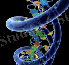 D:\USER\Desktop\картинки\images (3).jpg