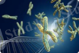 D:\USER\Desktop\images (10).jpg