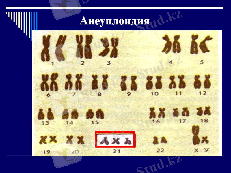 D:\USER\Desktop\0016-016-Aneuploidija.jpg