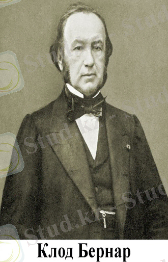 C:\Documents and Settings\Admin\Рабочий стол\Bernarklod.jpg