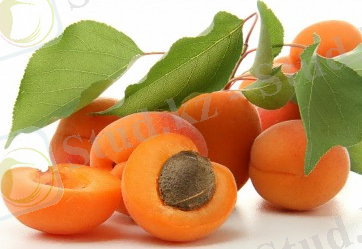 Картинки по запросу өрік