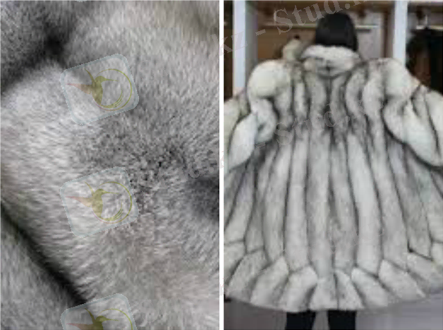 ОҒМ жазбалары: Қыс. Тондар тартысы