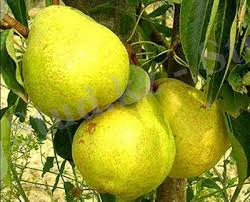 C:\Users\Windows\Downloads\Без названия (1).jpg