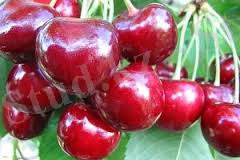 C:\Users\Windows\Downloads\Без названия (7).jpg