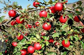 C:\Users\Windows\Downloads\Без названия (4).jpg