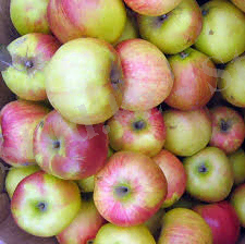 C:\Users\Windows\Downloads\Без названия (5).jpg