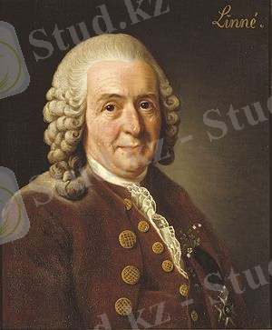 http://upload.wikimedia.org/wikipedia/commons/thumb/6/68/Carl_von_Linn%C3%A9.jpg/300px-Carl_von_Linn%C3%A9.jpg