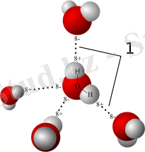 http://upload.wikimedia.org/wikipedia/commons/thumb/c/c6/3D_model_hydrogen_bonds_in_water.svg/220px-3D_model_hydrogen_bonds_in_water.svg.png
