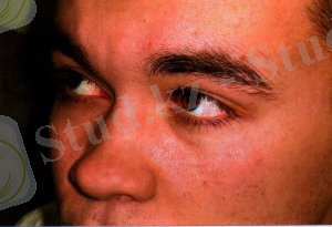 Рисунок136658