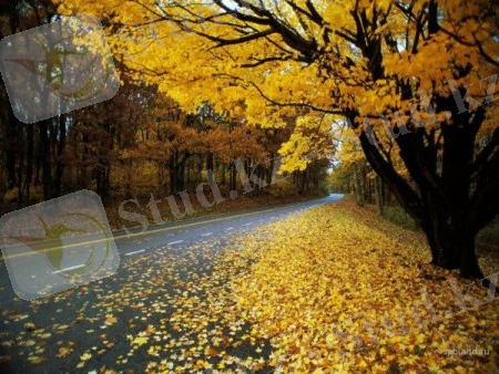 C:\Documents and Settings\Алексей\Рабочий стол\Методичка\картинка к осени.jpg