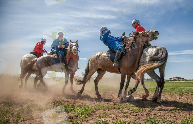 Ұлттық ат ойындары