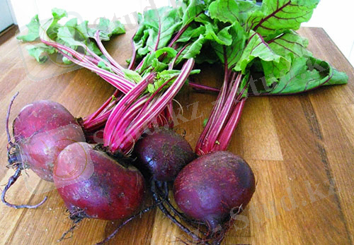 Урожай свеклы со своей грядки