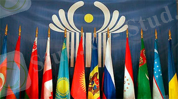 Картинки по запросу тмд