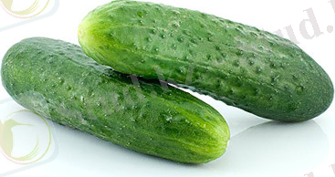 Картинки по запросу Қияр