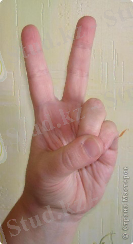 C:\Documents and Settings\Admin\Рабочий стол\cret\DSC04834_0.JPG