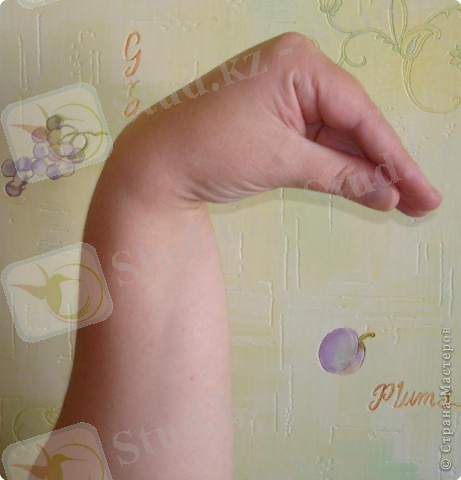 C:\Documents and Settings\Admin\Рабочий стол\cret\DSC04822_0.JPG