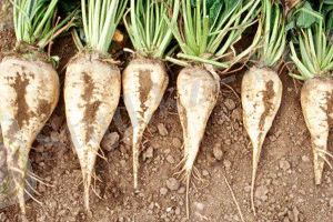 Похожее изображение