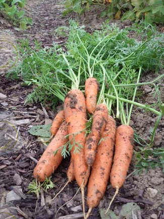 Похожее изображение